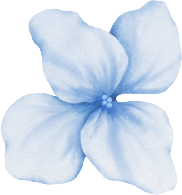 Ortanca çiçeği elementleri elle boyanmış sulu boya.