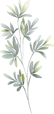 Suluboya Botanik Yaprak Elementleri