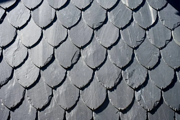 Photo of a detailed fish scale pattern on a black slate roof. High quality photo