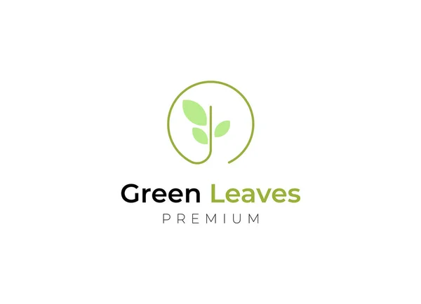 Design Logotipo Folha Simples Minimalista Logotipo Licença Verde — Vetor de Stock