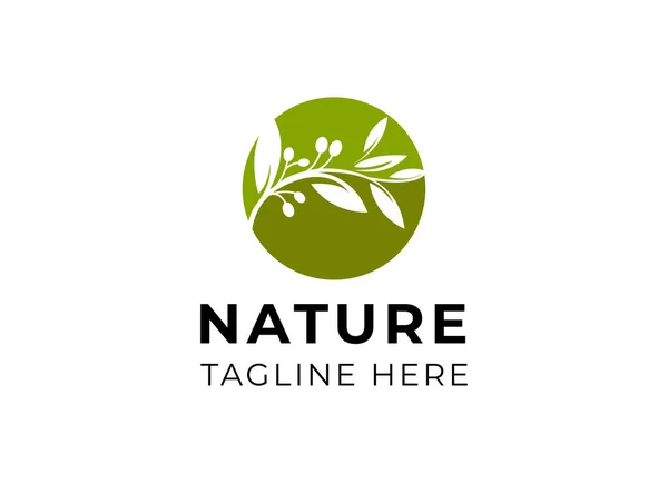 Abstract Natuur Logo Icoon Vector Ontwerp Gezond Eco Voedsel Ecologie — Stockvector