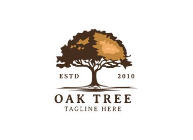 Meşe ağacı logosu çizimi. Bir ağacın vektör silueti.