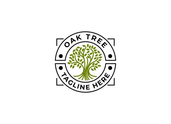 オークの木のロゴイラスト 木のベクトルシルエット — ストックベクタ