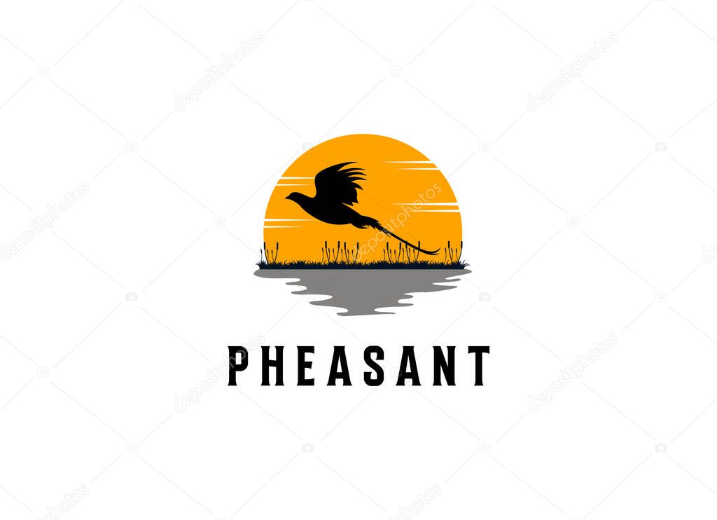 Beauty Flying Pheasant Bird. Pheasant logo design template. Pheasant hunt logo