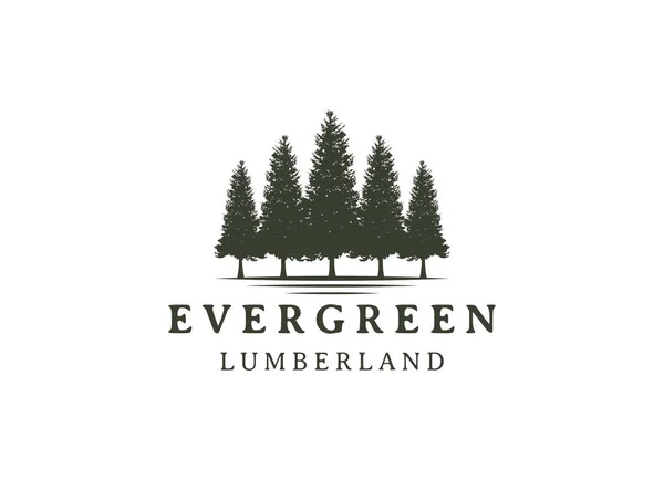 Tall Evergreen Gran Hampa Gran Barrträd Cederträ Barrträd Cypress Lärk Vektorgrafik