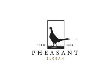 Sülün logosu tasarımı silueti. Güzel sülün logosu.