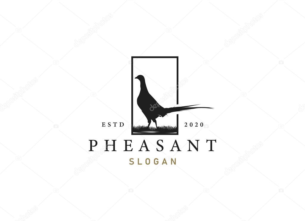 Silhouette of pheasant logo design. Beauty pheasant logo