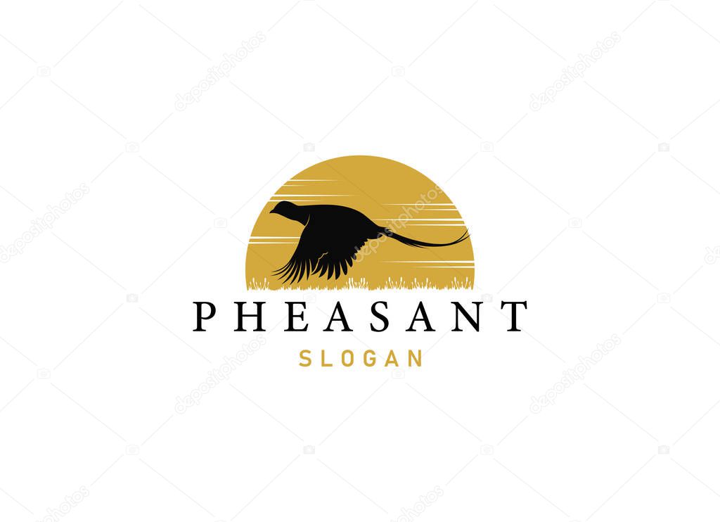 Silhouette of pheasant logo design. Beauty pheasant logo
