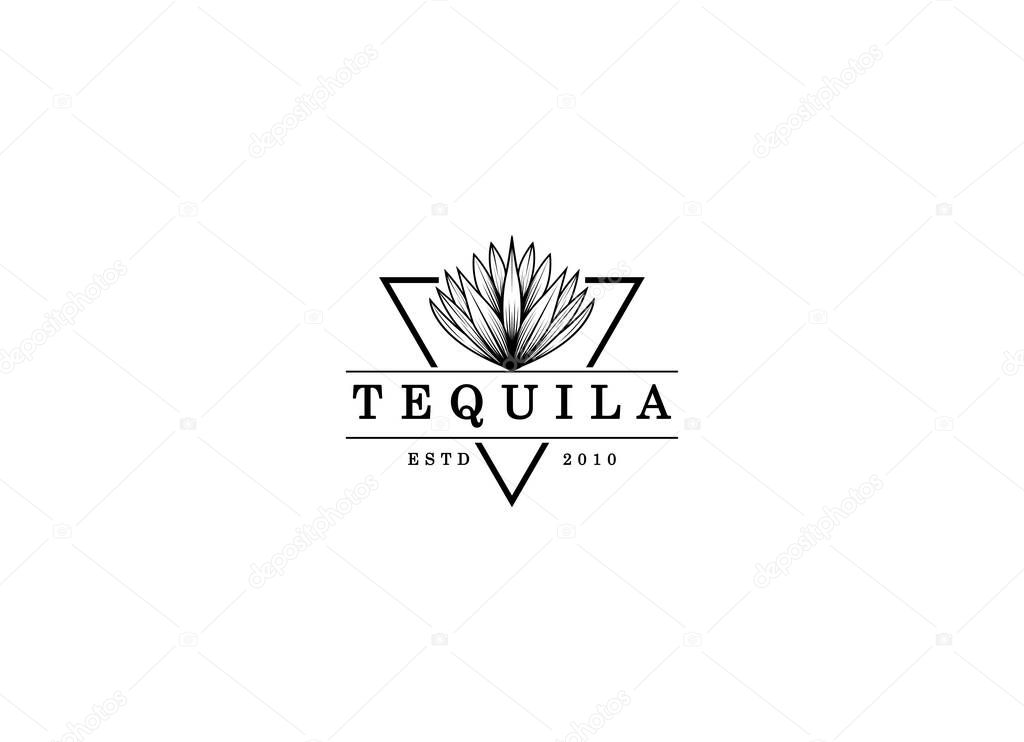 Vector illustration of Mexican Blue Agave Plant for Tequila Drink Vintage Label Logo Design.