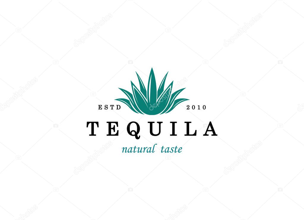 Vector illustration of Mexican Blue Agave Plant for Tequila Drink Vintage Label Logo Design.