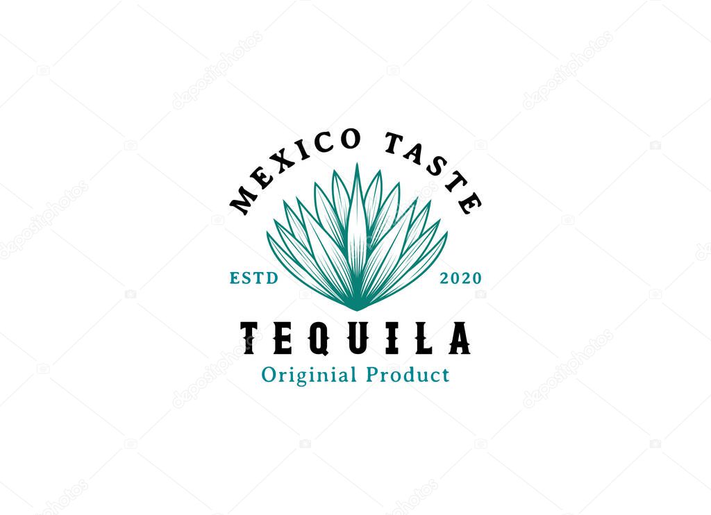 Vector illustration of Mexican Blue Agave Plant for Tequila Drink Vintage Label Logo Design.