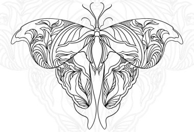 Yusufçuk, kelebek, böcek, dekoratif element, dekoratif tasarım, süs, serbest çizim, arka plan, kartpostal, grafikler, çizgi