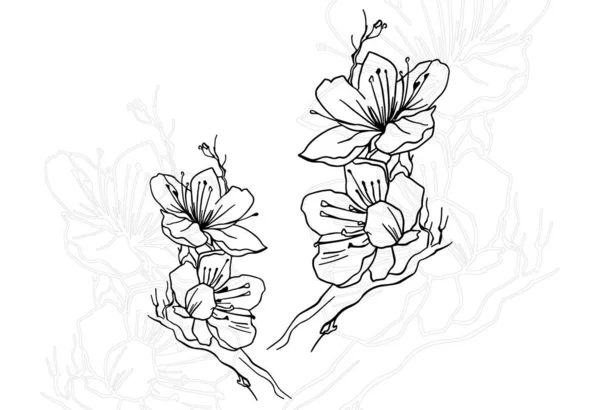 Flower Decorative Element Ornamental Design Ornament Freehand Drawing Background Postcard — Stock Vector