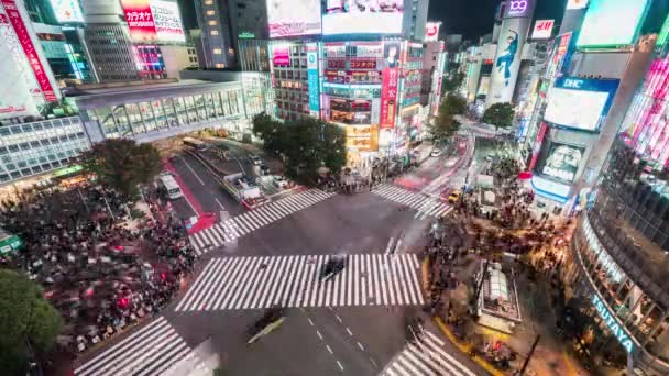 Токио Япония Ноября 2019 Года Ночное Время Остановки Автомобильного Транспорта — стоковое видео