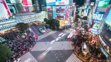 Tokyo, Japonya - 3 Kasım 2019, Shibuya geçidinde kalabalığın yürüdüğü gece trafiği durduruldu. Turizm, Japonya turizmi, Asya taşımacılığı veya Asya şehir yaşamı kavramı