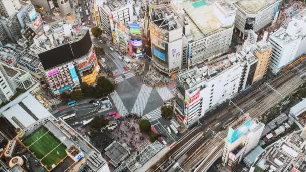 Tokyo Japan Nov 2019 Tiden Förflutit För Biltrafik Transport Publiken — Stockvideo