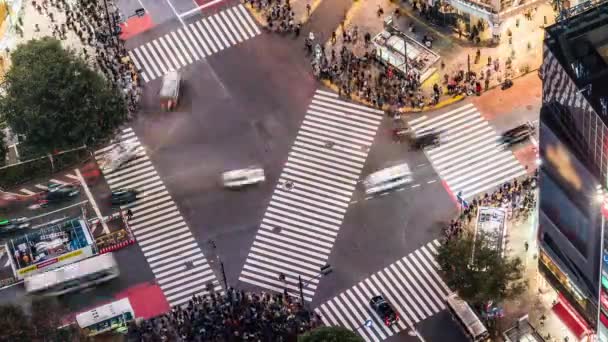 Éjszakai Autóforgalom Elszállt Zsúfolt Emberek Sétáltak Úton Shibuya Kereszteződésnél Tokió — Stock videók