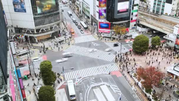 Upływ Czasu Transporcie Samochodowym Zatłoczeni Ludzie Przechodzą Przez Ulicę Shibuya — Wideo stockowe