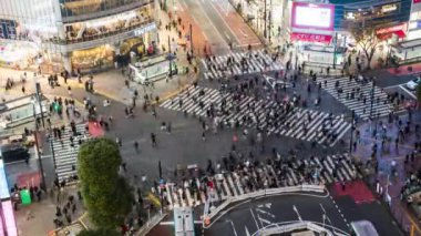 Tokyo, Japonya - 28 Kasım 2022: Araba trafiğinin zaman aşımı, kalabalık Shibuya geçidinde gece yürüyor. Turizm, Japonya turizmi, Asya taşımacılığı, Asya şehir hayatı kavramı