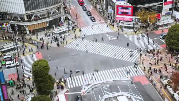 車の交通輸送の時間経過 混雑した人々は渋谷スクランブル交差点で横断道路を歩く 東京観光名所ランドマーク 日本の観光 アジア交通機関やアジアの都市生活の概念 — ストック動画