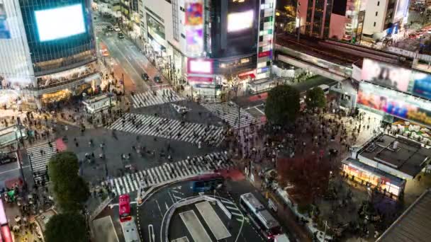 Gece Araba Trafiğinin Aksaması Kalabalık Insanlar Shibuya Karşıdan Karşıya Geçiyor — Stok video