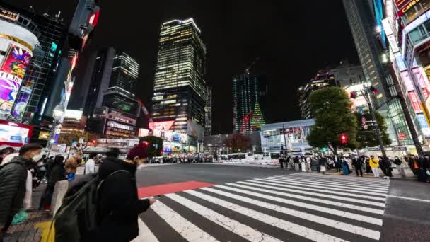 Tokio Japonsko Listopadu 2022 Časová Prodleva Automobilové Dopravy Dav Lidí — Stock video