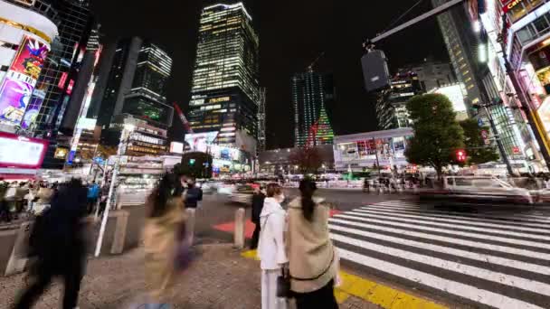 Tokio Japan Nov 2022 Tijdsverloop Van Het Autoverkeer Menigte Mensen — Stockvideo