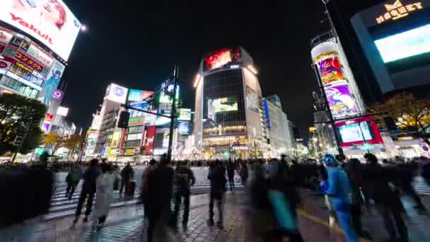 Tokyo Japan Nov 2022 Time Lapse Car Traffic Transportation Crowd — Video