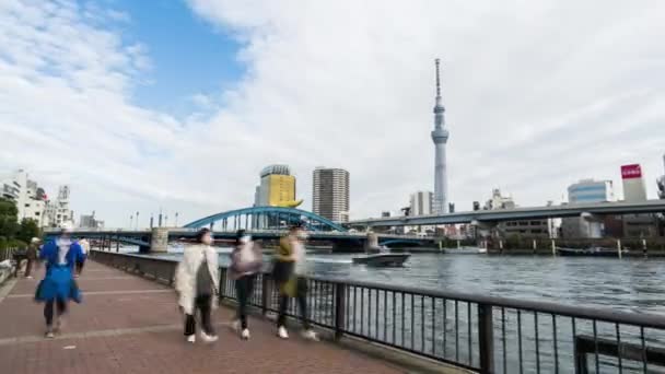 東京都 2022年12月4日 隅田川を歩く人の過経過時間 車の交通輸送 東京スカイツリーの街並みを表示します アジア観光のランドマーク アジア旅行 日本の都市生活 — ストック動画