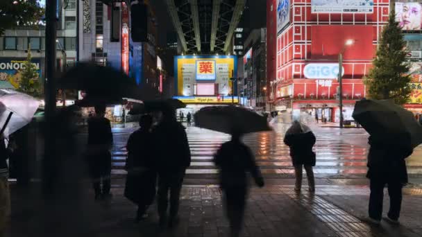 Tokyo Japan Dec 2022 Time Lapse Rainy Night People Walk — Stock video