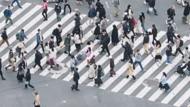 Crowded Japanese People Asian Traveler Walk Cross Road Shibuya Scramble — 비디오