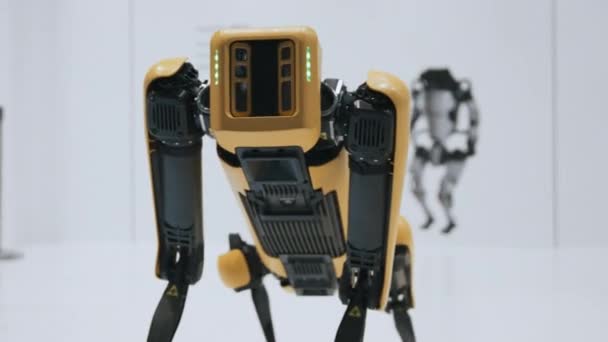 Μπανγκόκ Ταϊλάνδη Μαρ 2023 Παρουσίαση Του Spot Τετράποδου Ρομπότ Της — Αρχείο Βίντεο
