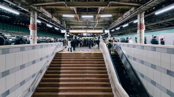 Tokyo Istasyonunda Bekleyen Trene Binen Yoğun Japon Kalabalığının Zamanlaması Banliyö — Stok video