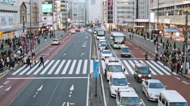 2222年12月2日 交通渋滞 日本人 アジア人通勤者が新宿東京 夕方にクロスロードを歩く アジアの交通 アジアのコミュニティ 都市生活 — ストック動画