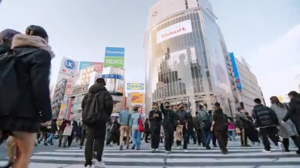 Tokio Japonsko Prosince 2022 Dav Japonců Dojíždějící Cestující Přecházející Křižovatku — Stock video