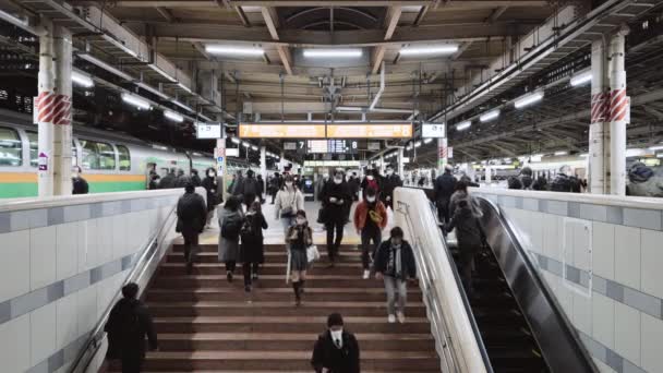 Tokyo Japonya Aralık 2022 Japon Halkı Tokyo Stasyonu Ulaşım Platformunda — Stok video