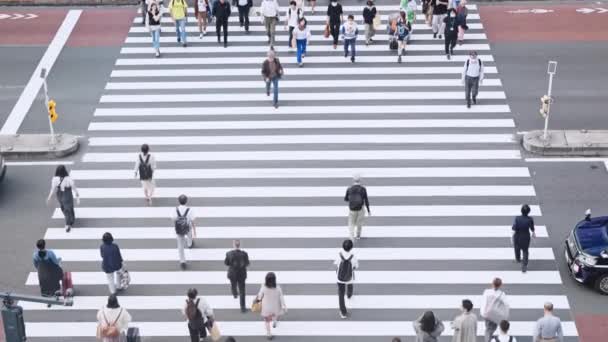 2023年10月5日 クロウド日本人 アジア人旅行者がクロスロードゼブラ交差点を歩きます 日本文化 都市生活 アジア交通 都市生活 スローモーション — ストック動画