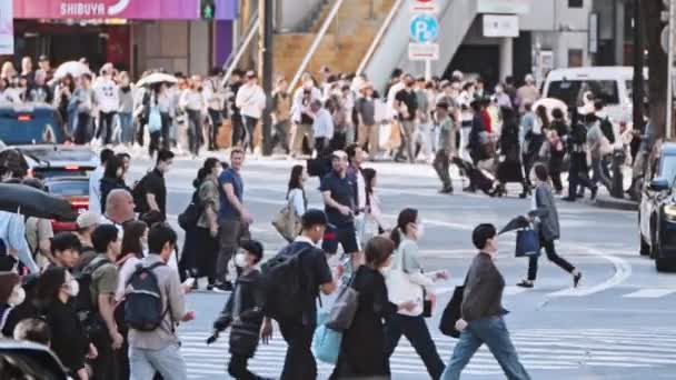2023년 10월 아시아 사람들의 군중은 시부야 교차로 자동차 수단에서 교차로를 — 비디오