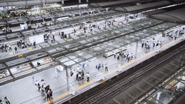 Tłum Ludzi Czeka Wsiada Pociągu Jadącego Nocą Stację Metra Japoński — Wideo stockowe