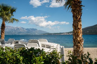 Sahildeki palmiye ağaçları arasında bir yığın beyaz plastik iskemle. Yaz sezonuna hazırlanıyorum..