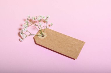 Narin bir çiçek filizi, delinmiş bir kraft etiketinin içinde pastel pembe bir fonda duruyor..