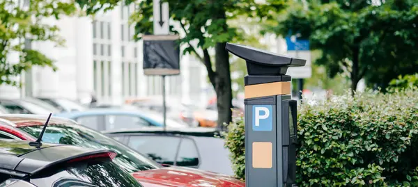 Kalabalık bir şehirde, yemyeşil çalılar ve ağaçlarla çevrili sayısız park etmiş aracın yanında bir parkmetre duruyor..