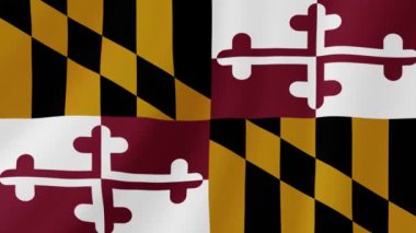 Maryland Eyaleti El Sallama Bayrağı. Gerçekçi Bayrak Animasyonu. Kusursuz Döngü Arkaplanı.
