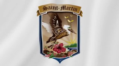 Aziz Martin Dalgalanan Bayrak. Gerçekçi Bayrak Animasyonu. Kusursuz Döngü Arkaplanı.