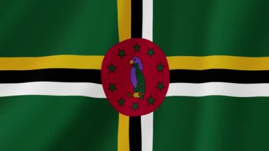 Dominica Sallanan Bayrak. Gerçekçi Bayrak Animasyonu. Kusursuz Döngü Arkaplanı.