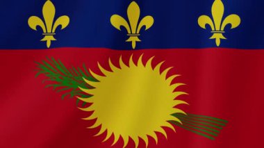 Guadeloupe Dalgalanan Bayrak. Gerçekçi Bayrak Animasyonu. Kusursuz Döngü Arkaplanı.