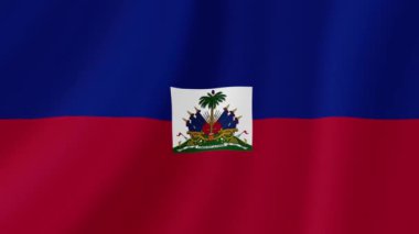 Haiti Sallanan Bayrak. Gerçekçi Bayrak Animasyonu. Kusursuz Döngü Arkaplanı.
