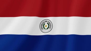 Paraguay Dalgalı Bayrağı. Gerçekçi Bayrak Animasyonu. Kusursuz Döngü Arkaplanı.