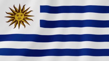Uruguay Sallanan Bayrak. Gerçekçi Bayrak Animasyonu. Kusursuz Döngü Arkaplanı.