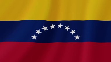 Venezuela Sallanan Bayrak. Gerçekçi Bayrak Animasyonu. Kusursuz Döngü Arkaplanı.